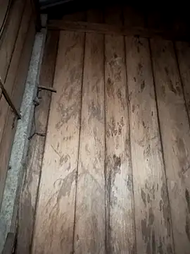 Mizu-hotshow online show from 03.29.26