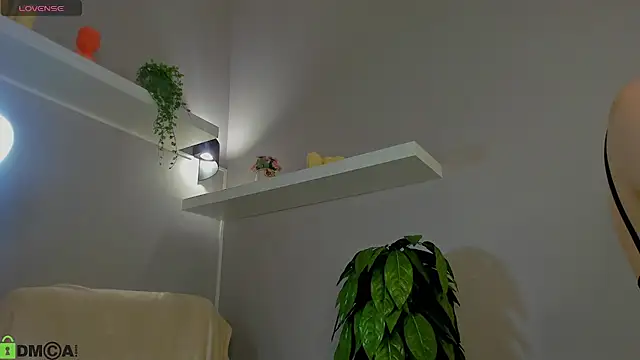 KiittieX online show from 05.25.26