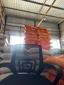 hoang15075 online show from 03.29.26