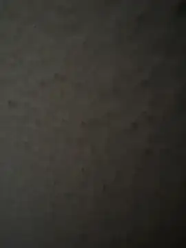 Snapshot of MIABCDZ chatting on 05.12.26 MIABCDZ online show from 05.12.26