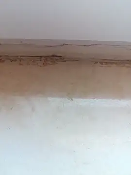 jeniferoo online show from 03.11.26