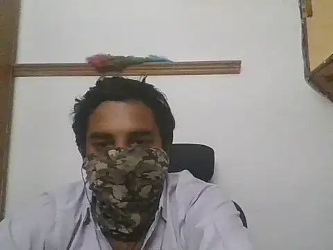 gregariouscarpet online show from 05.05.26