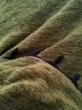 detasuta online show from 03.07.26