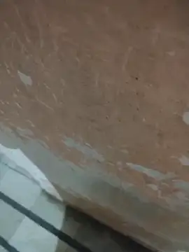 Tamillaxmi12 online show from 04.14.26