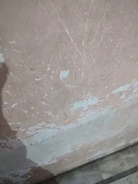 Tamillaxmi12 online show from 04.16.26