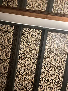 Jasar2026 online show from 04.06.26