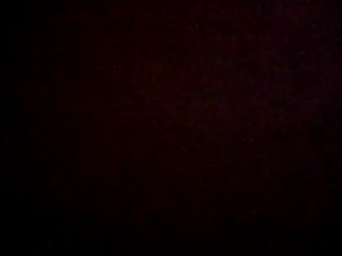 Snapshot of SweetandSpiced chatting on 03.15.26 SweetandSpiced online show from 03.15.26