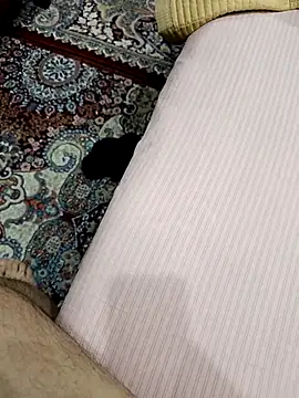 MEDVEDV online show from 03.14.26