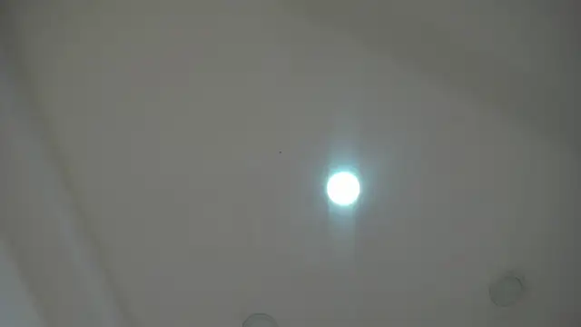 AlaskaFlowerss1  online show from 06.30.26