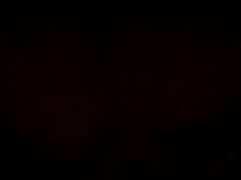 17Komodo online show from 05.14.26