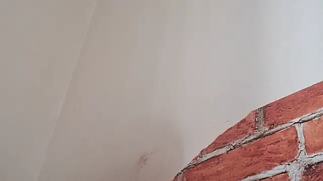 Snapshot of Sueliton2 chatting on 03.28.26 Sueliton2 online show from 03.28.26