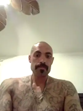 wesstfine online show from 05.19.26