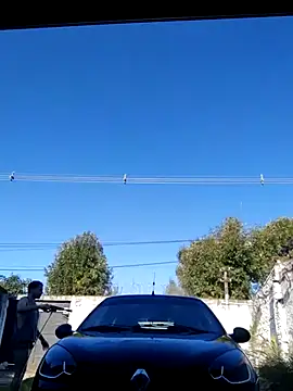 Switzerland32 online show from 04.12.26