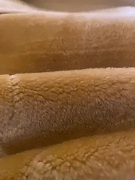 Ashwak trans online show from 04.04.26