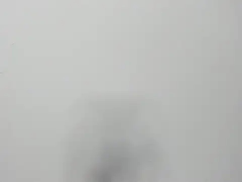 Snapshot of Alejandra_and_James_ chatting on 03.29.26 Alejandra and James online show from 03.29.26