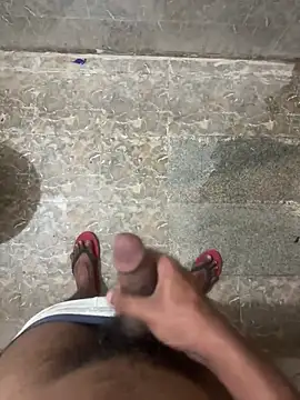 dashingdih online show from 04.15.26