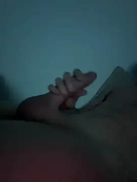 Snapshot of manuelgz42 chatting on 04.01.26 manuelgz42 online show from 04.01.26