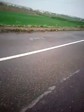 alicancetin11 online show from 04.02.26