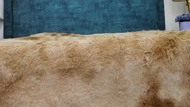 Snapshot of IsadoraVex chatting on 04.14.26 IsadoraVex online show from 04.14.26