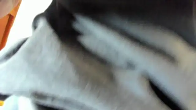pipe monstercock online show from 05.21.26