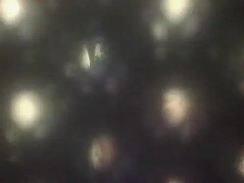 HaqqurSerpian online show from 07.21.26