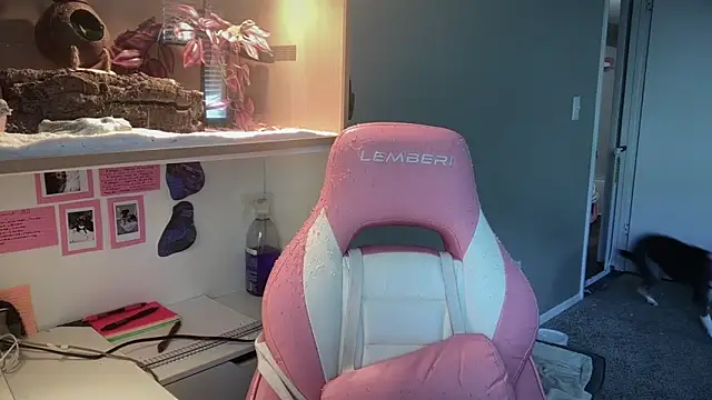 MUSCLEMOMMY1365 online show from 04.29.26