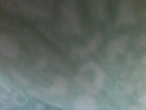 Short-V online show from 04.17.26