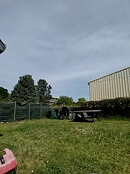 Osuleom29 online show from 04.25.26