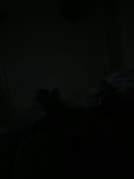 Timmy T online show from 05.15.26