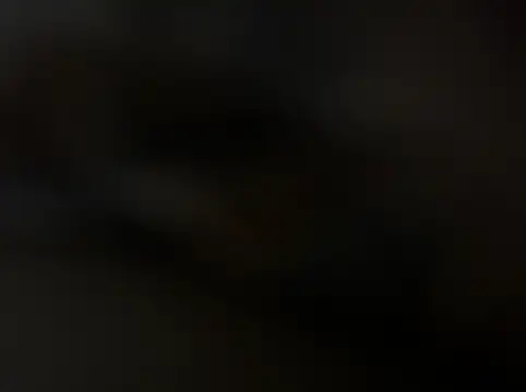 st boyss online show from 05.12.26