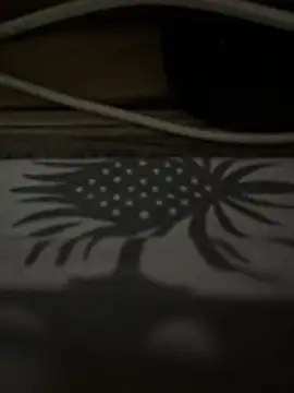 st boyss online show from 07.09.26