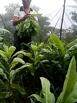 jenene99 online show from 06.30.26