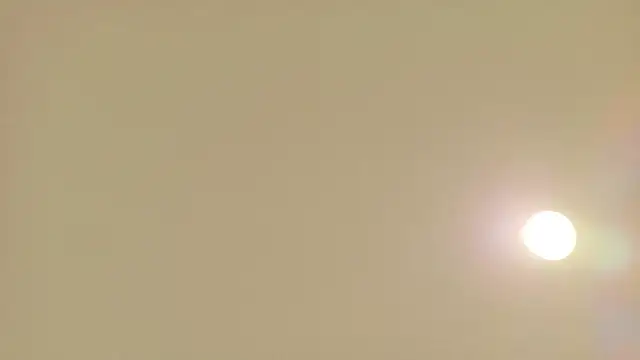 rena 1120 online show from 06.17.26