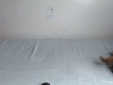 fabbie01  online show from 07.14.26
