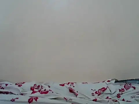 Snapshot of Hornysmoker20 chatting on 07.07.26 Hornysmoker20 online show from 07.07.26