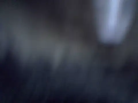 cutiebreey online show from 06.23.26
