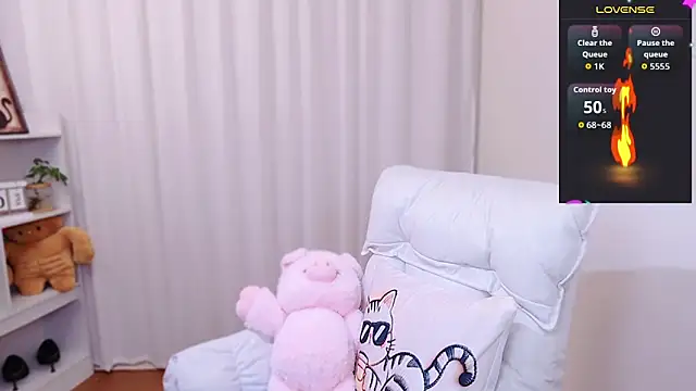 August cat online show from 05.19.26