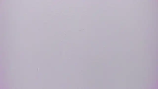 velvet girll online show from 06.12.26