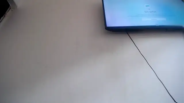 Fox Loves online show from 07.19.26