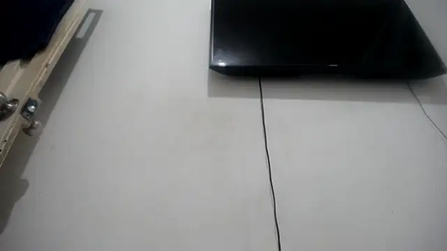 Fox Loves online show from 07.23.26