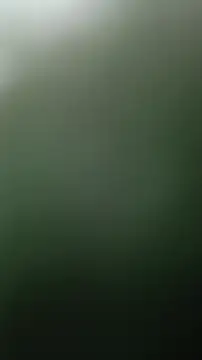 Kijenblack online show from 06.28.26