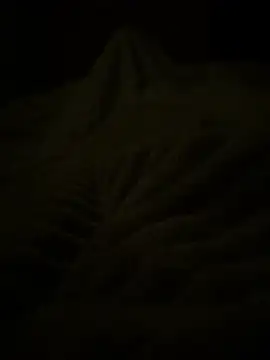 Pierre20cm21ans online show from 07.27.26