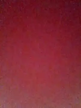 pricilanunes online show from 07.06.26
