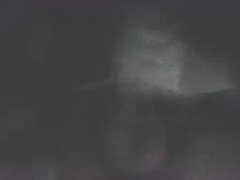 nicobboy22 online show from 06.17.26