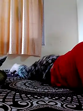 Sexy tanvi011 online show from 07.13.26