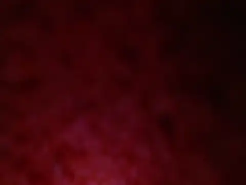 curvy 12 online show from 07.29.26