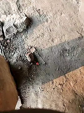 lambakooli online show from 06.13.26