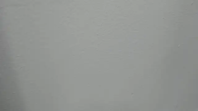 zack dehaan online show from 07.26.26