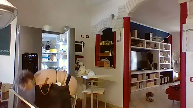 Zanetta online show from 07.18.26