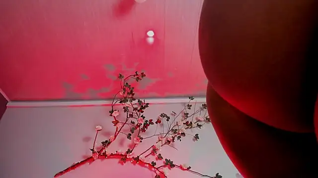 Britney turner   online show from 07.24.26